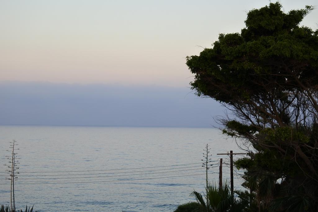 Kissonerga Beach Apartment Pafos Zewnętrze zdjęcie