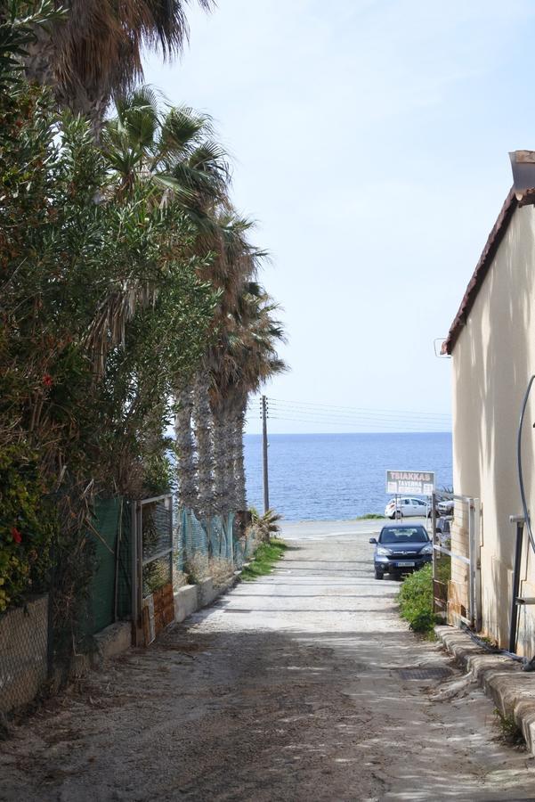 Kissonerga Beach Apartment Pafos Zewnętrze zdjęcie