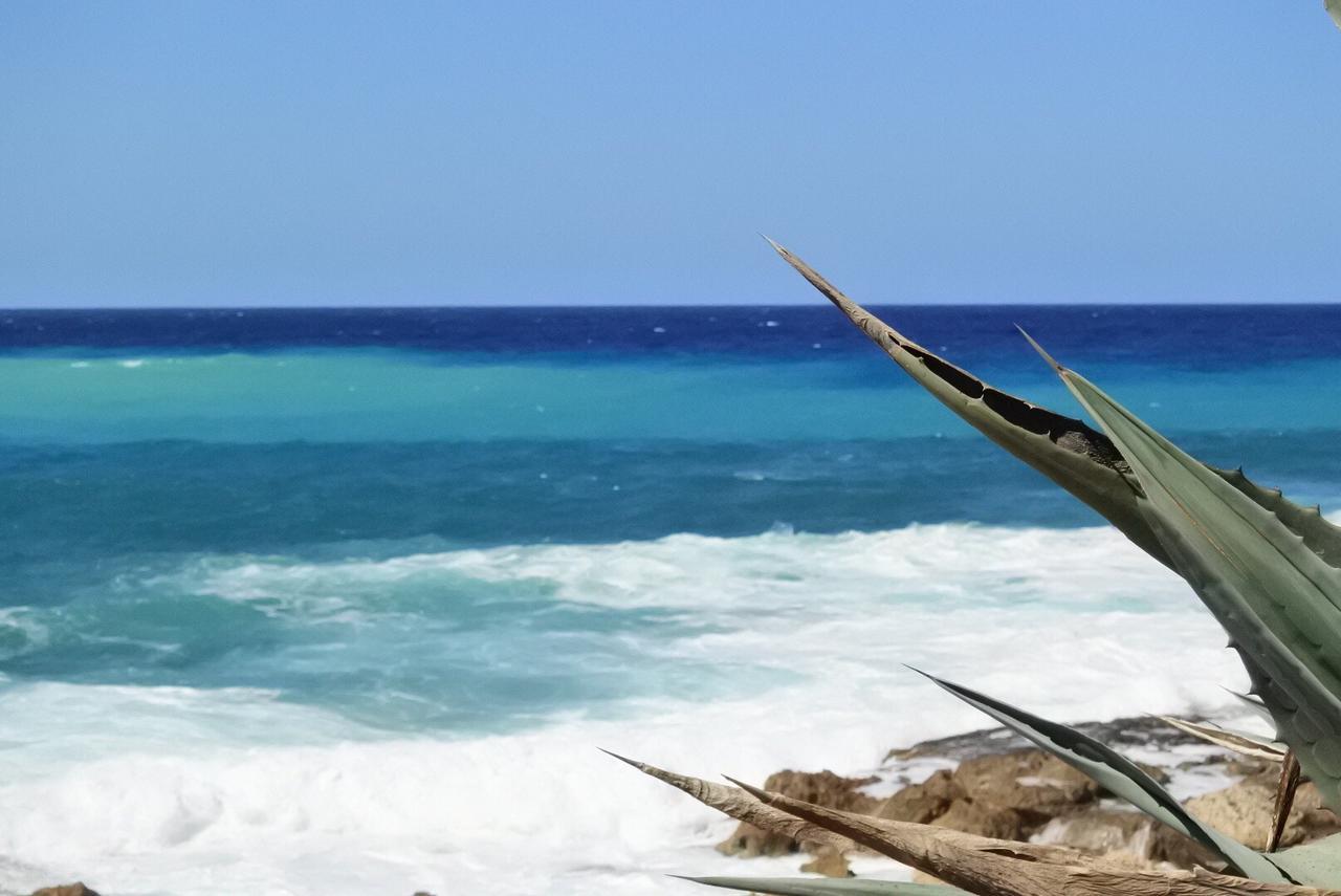 Kissonerga Beach Apartment Pafos Zewnętrze zdjęcie