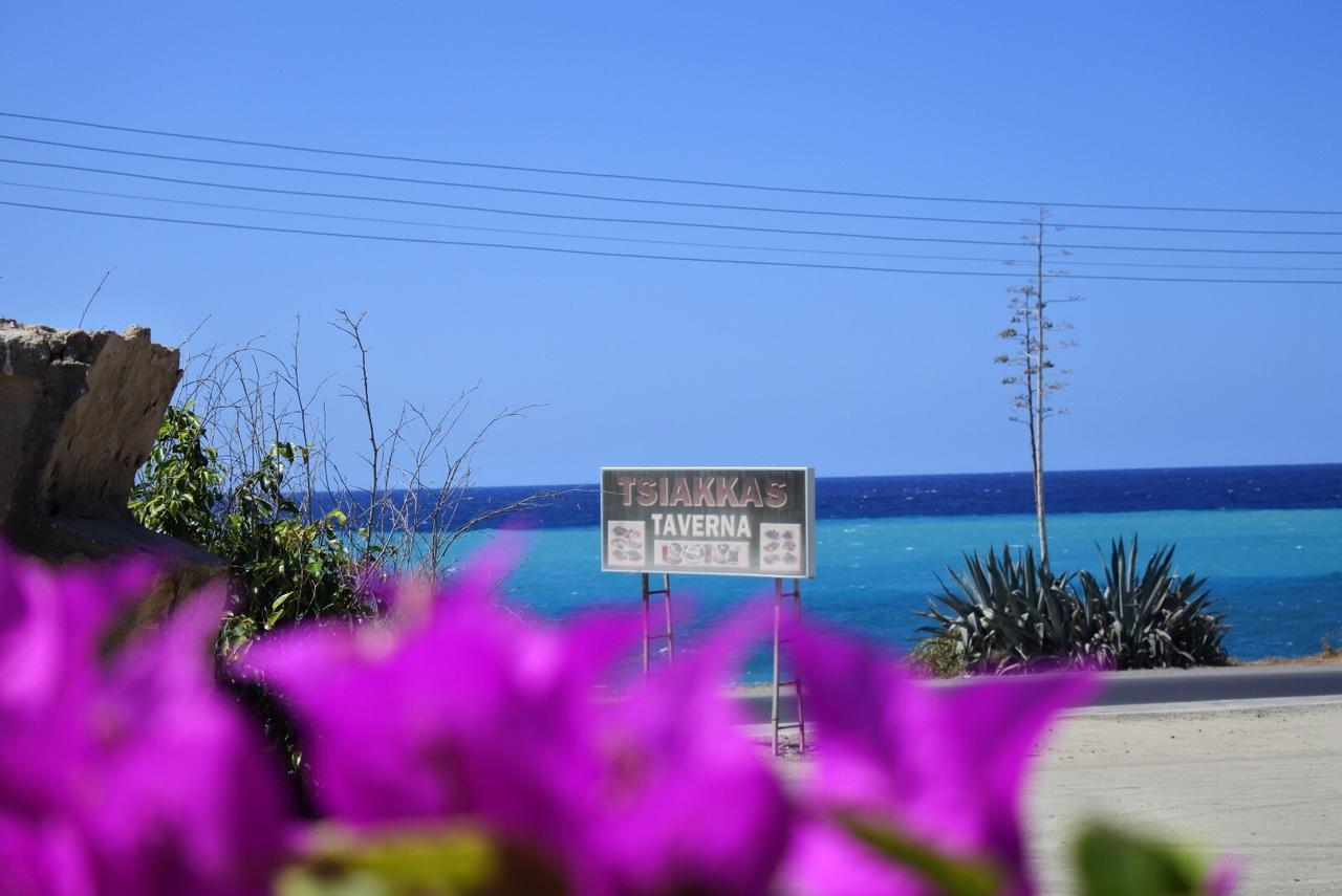 Kissonerga Beach Apartment Pafos Zewnętrze zdjęcie